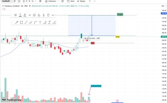 Wanbury Limited